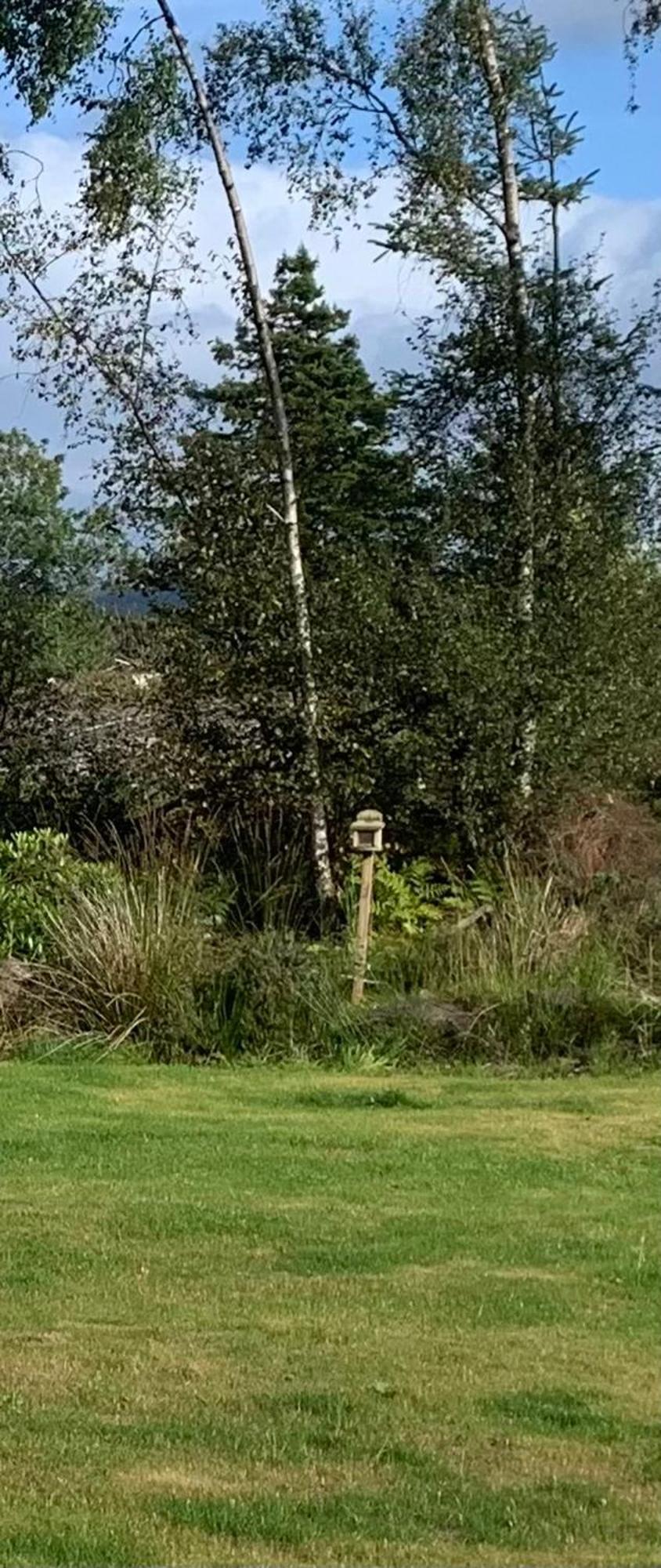 Villa Tawny Owl Pod With Hot Tub à Oban Extérieur photo